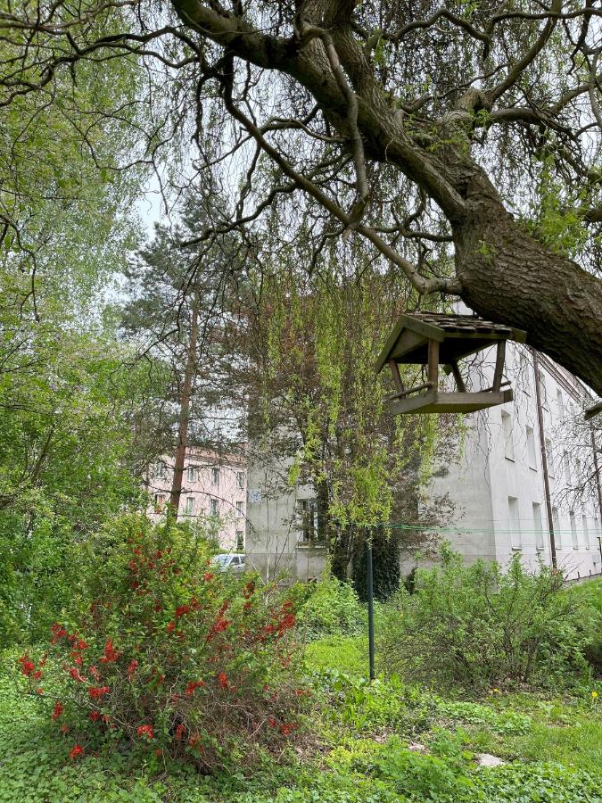 Greenthumb Praska - Chambres d’hôtes Cracovie