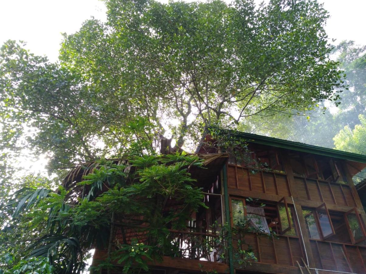 Superior Chalet