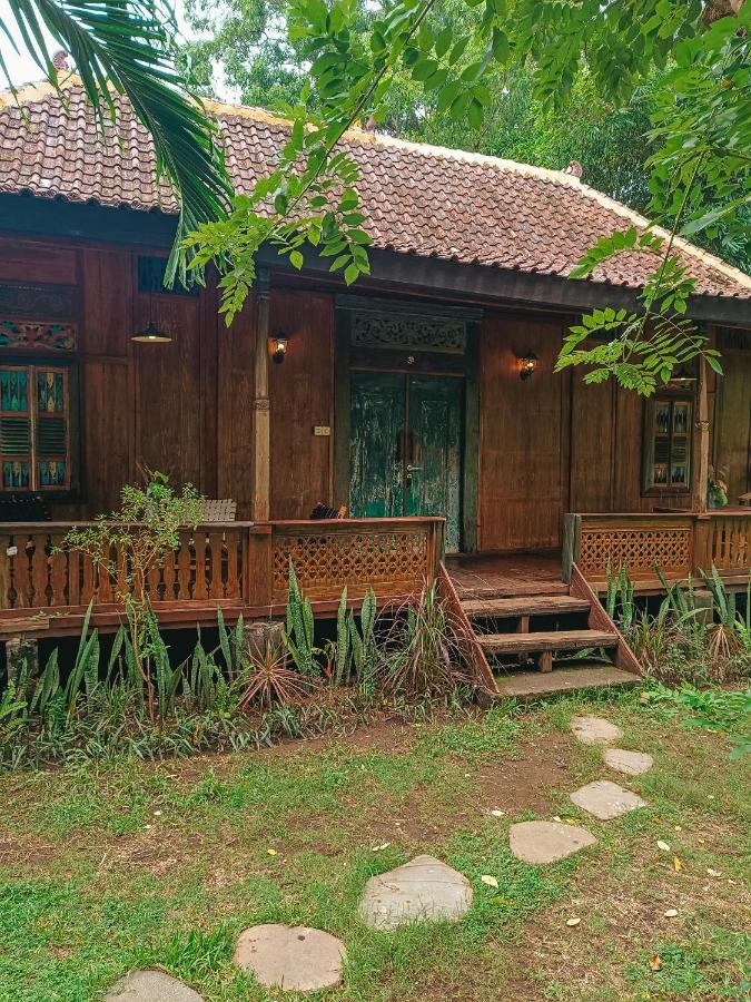 Alaya Ecolodge - Bed and Breakfast Pemuteran
