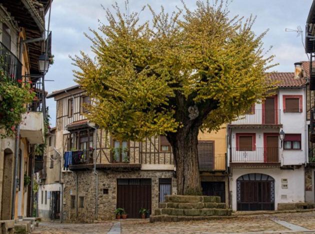 EL VIEJO OLMO - Chambres d’hôtes