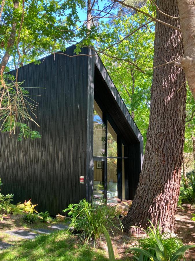 NOUVEAU - Ecolodge 'Calme et Nature' - Avec Piscine au Golf-Lac de Biscarrosse - Couchage 2 personnes - B&B