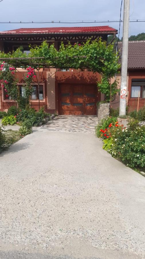 B&B Eşelniţa - Casa Elena Eselnita - Bed and Breakfast Eşelniţa