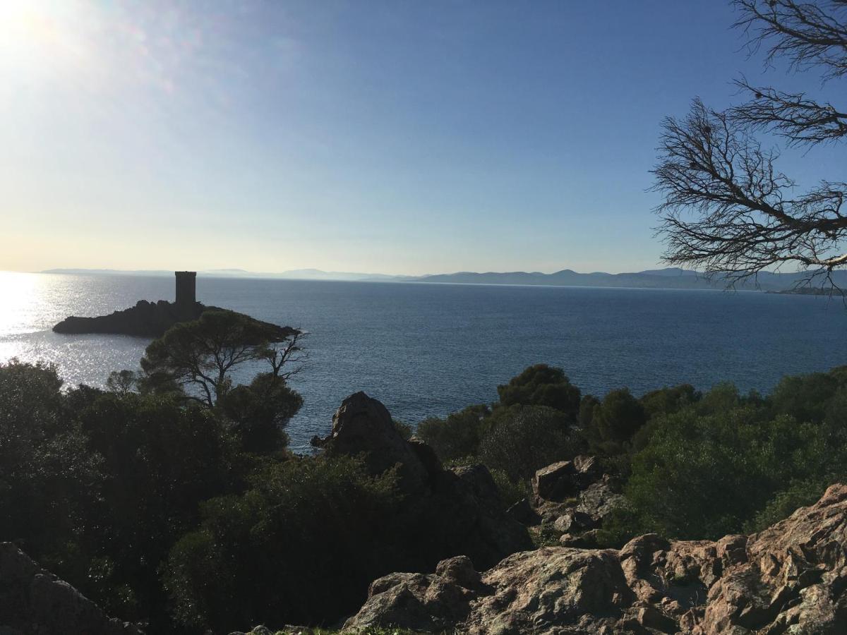 Cocon Familial - B&B