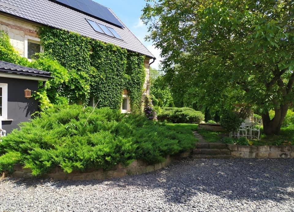 Dom Cukiernika - B&B Gmina Lwówek Śląski