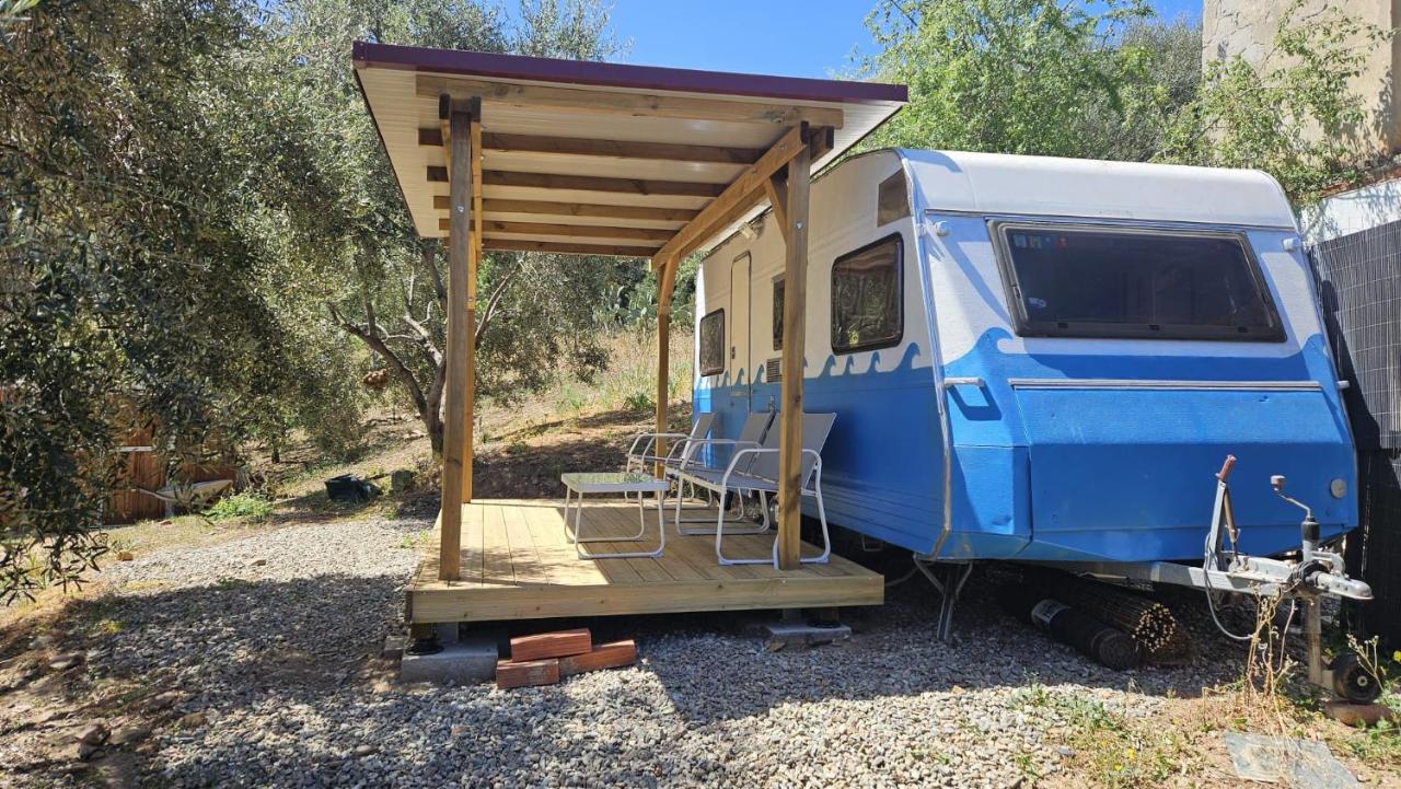 Pet Friendly Piuma Mobilehome