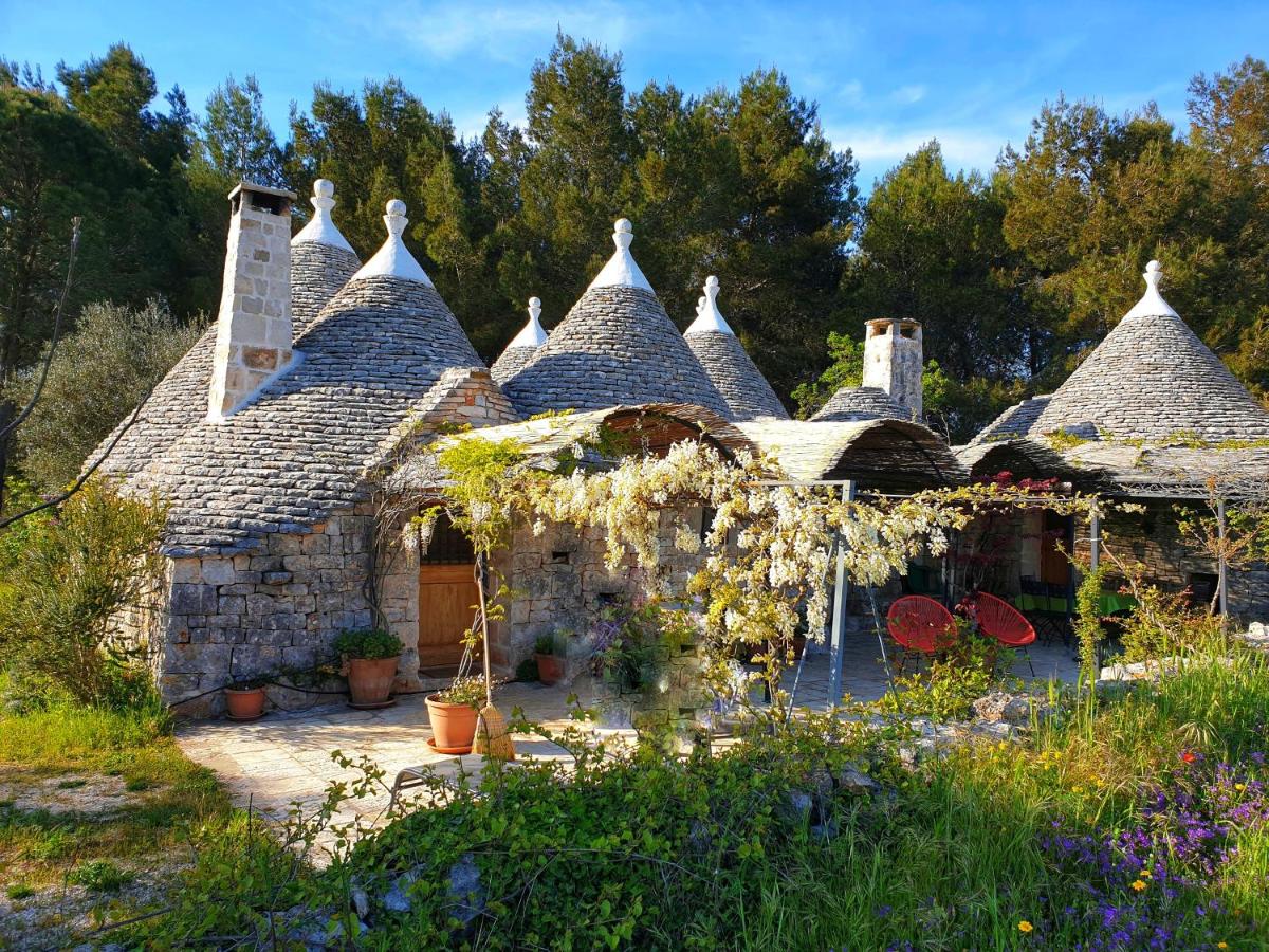 Trullo nel bosco, lungo il sentiero escursionistico ciclabile dell'acquedotto pugliese - B&B Cisternino