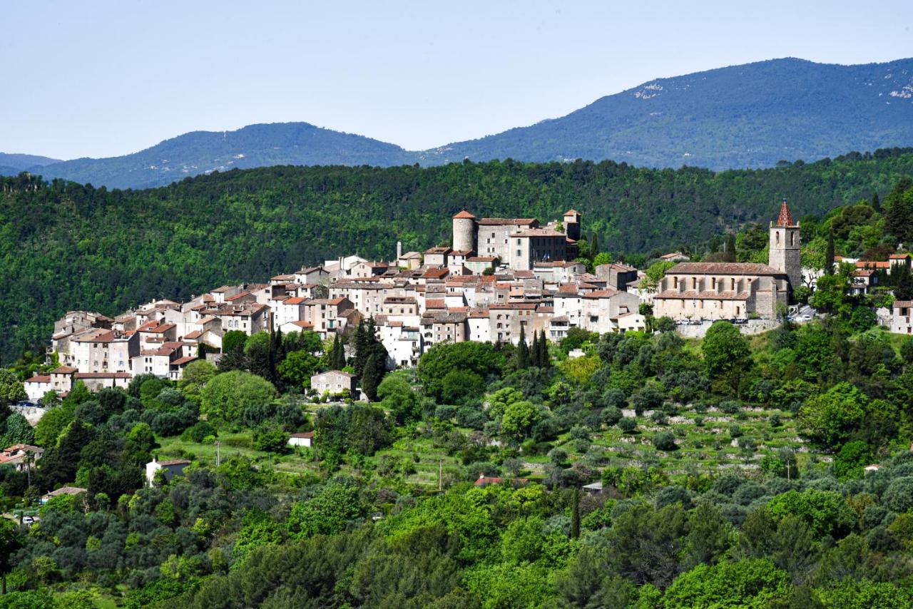 Exclusive Villa in Provence with swimming pool in a very quiet private domain - Ferienwohnung Montauroux