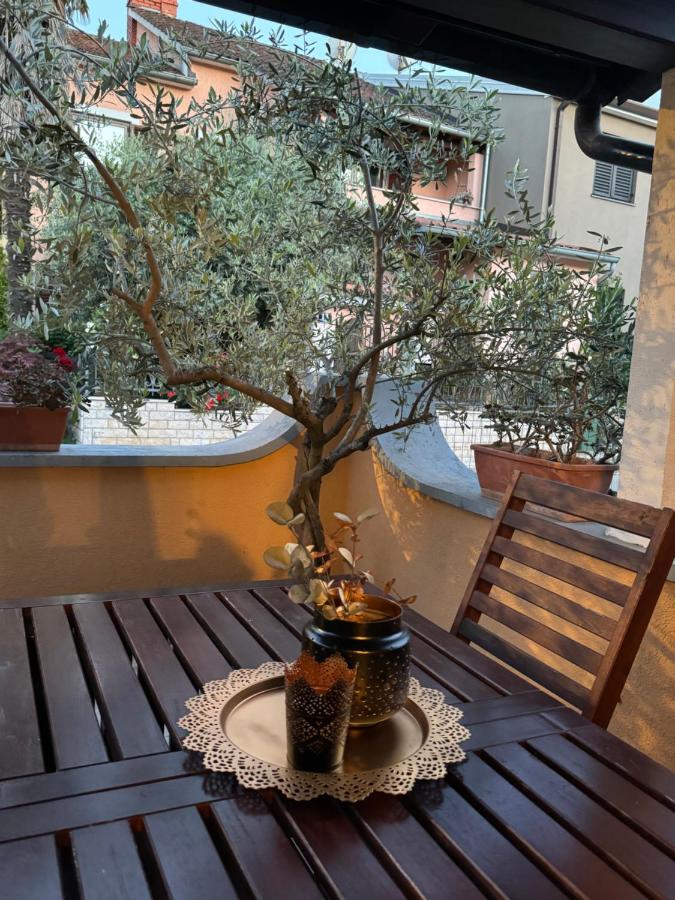 Bed and Bike Milena Apartment - B&B Orsera