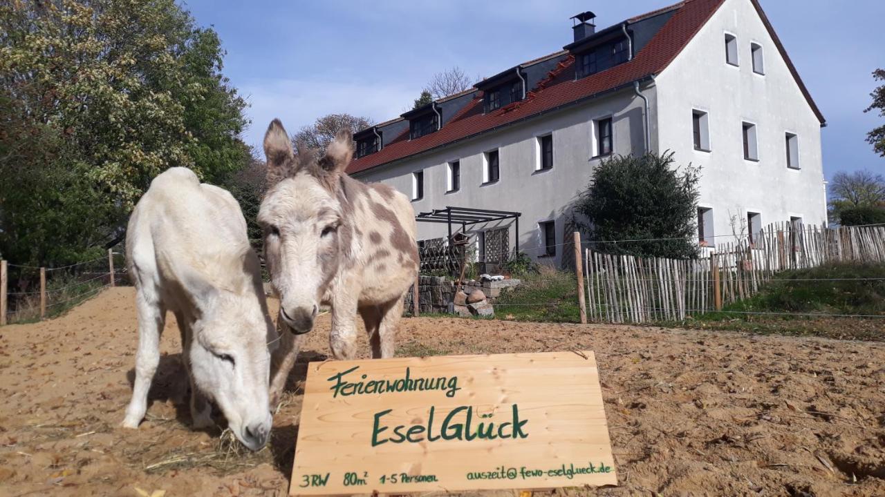 B&B Melaune - Ferienwohnung EselGlück - Oberlausitz, weitläufige Natur, Tiere, Erholung - Bed and Breakfast Melaune