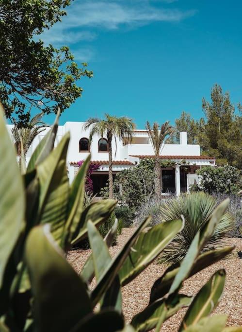 Villa 4 Palms only 5 minutes from Ibiza - B&B