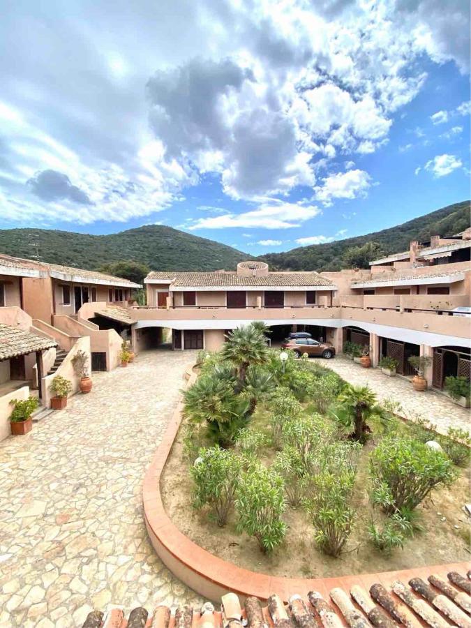 Casa Viola - B&B Campese