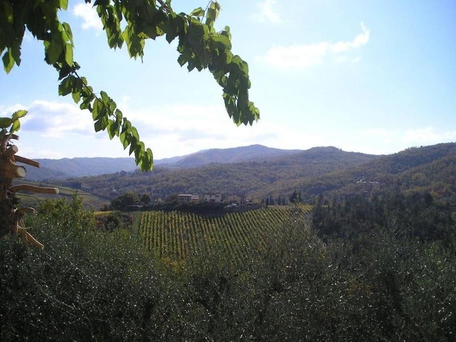Un piccolo Paradiso nel Chianti più selvaggio - B&B