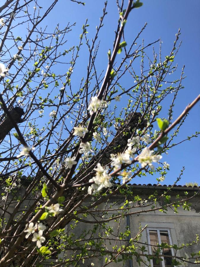 Il nido vicino Castel di Sangro ed Alfedena - B&B Montenero Val Cocchiara