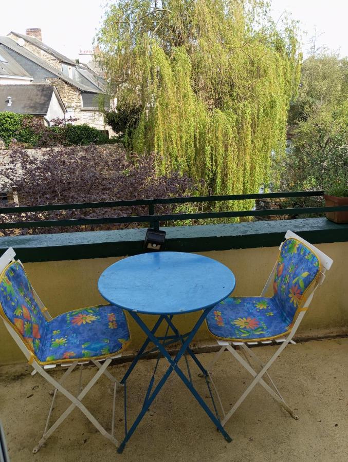 STUDIO RDC au pied du château et balcon sur la vilaine - Chambres d’hôtes