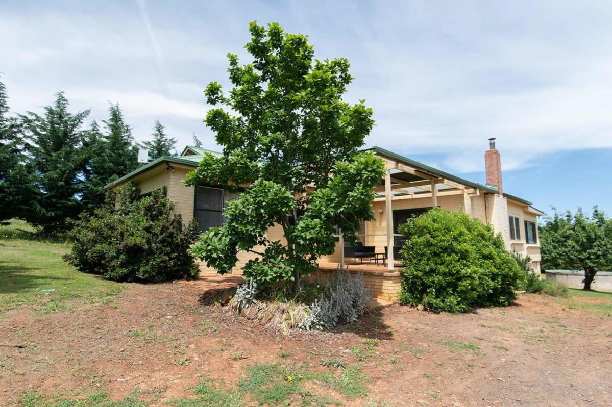 Canobolas Cottage - Amazing Farm Stay, 4 King Beds - Chambres d’hôtes Canobolas