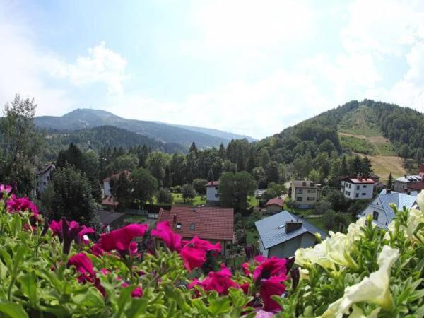 Pensjonat Krokus - B&B