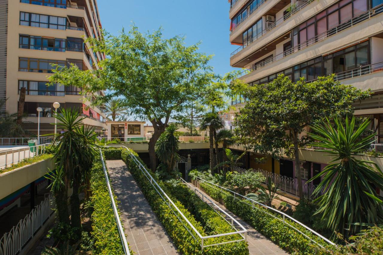 Nogalera Party&beach Select - B&B Torremolinos