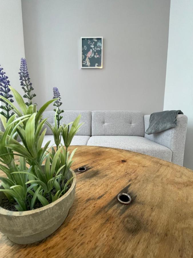 La Saint Jean - B&B