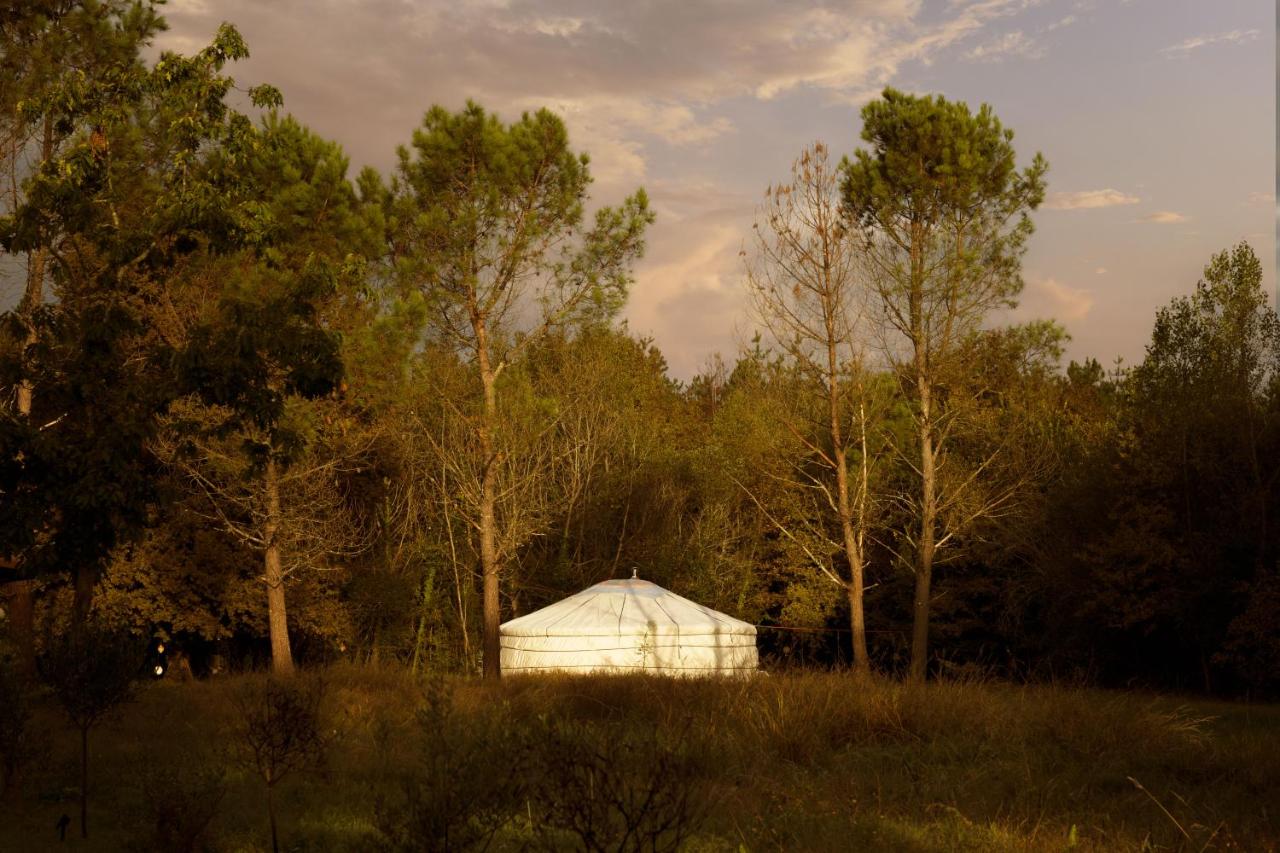 Yourte Bohemian Chic et Spa privé Vue forêt
