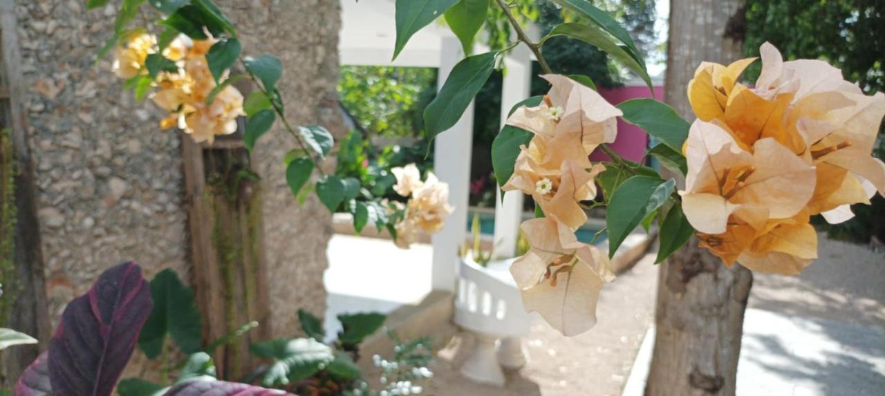 Casas Teoli Casita Rosa - Bed and Breakfast