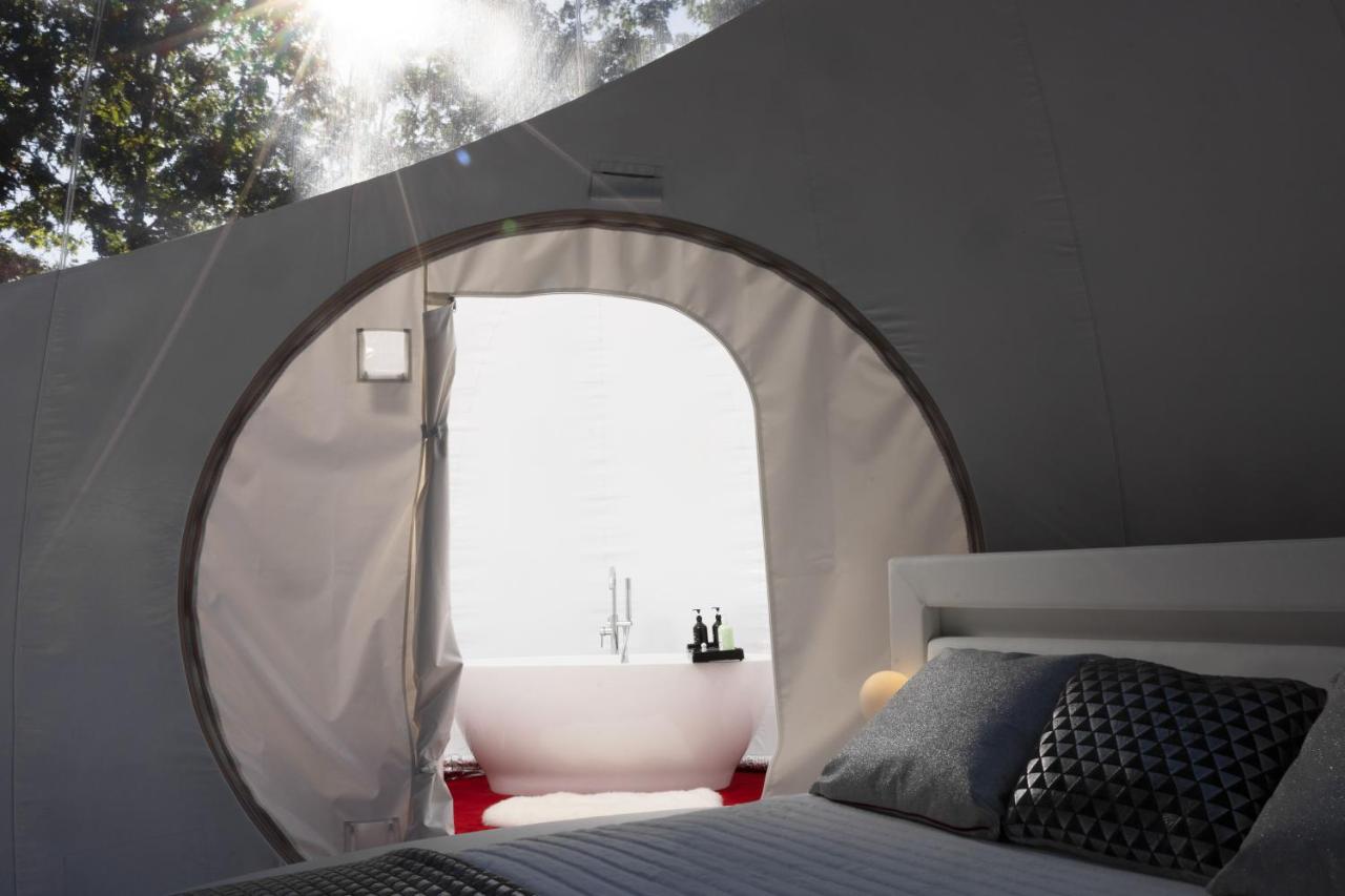 Bulles Space Odyssey et Spa privé Vue forêt