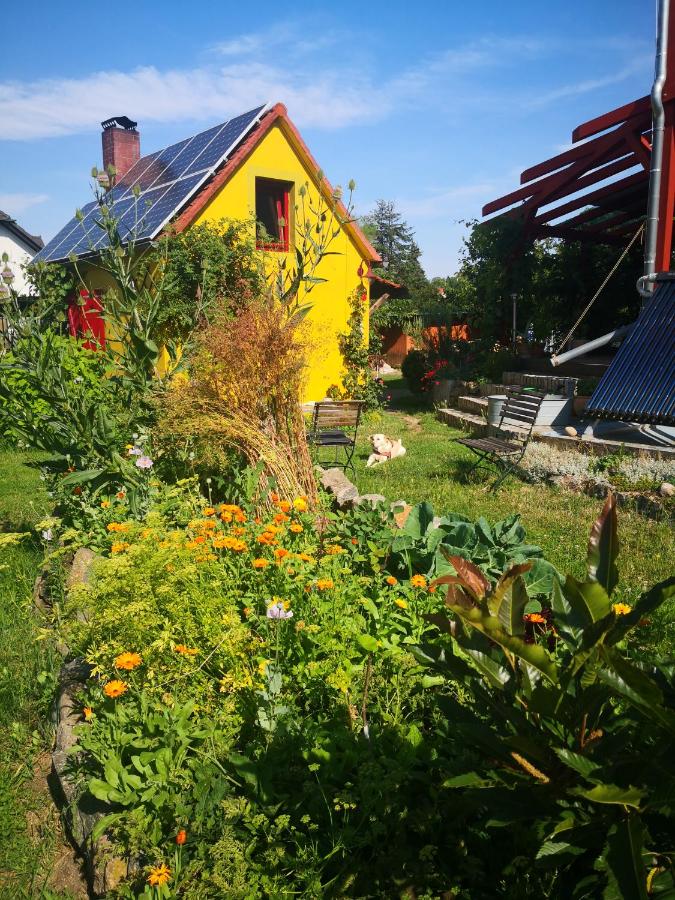 Zum Waldmeister - WC außerhalb - B&B