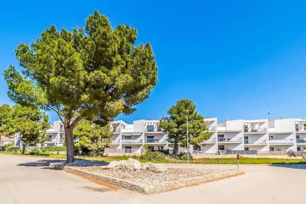 Apartamento en Calafat con Jardin - B&B