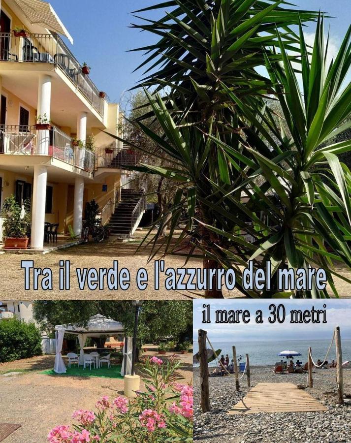 B&B Villammare - Elvira Residence Villammare - Bed and Breakfast Villammare