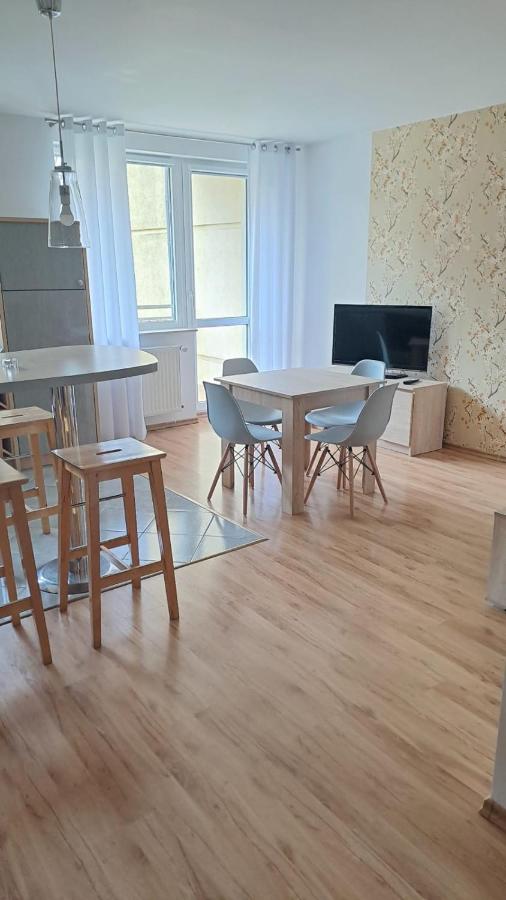 Apartment mit 1 Schlafzimmer