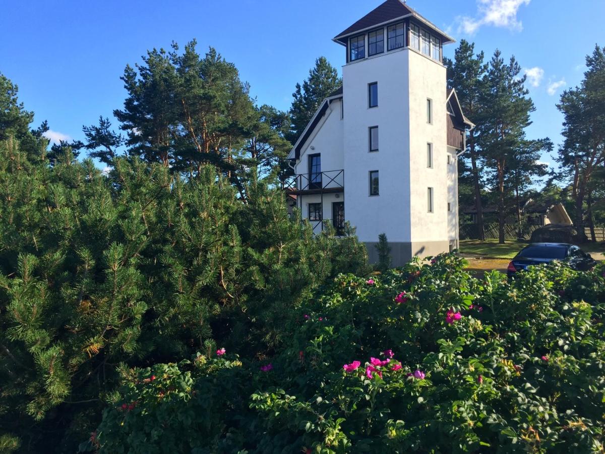 Vainupea puhkemaja - B&B