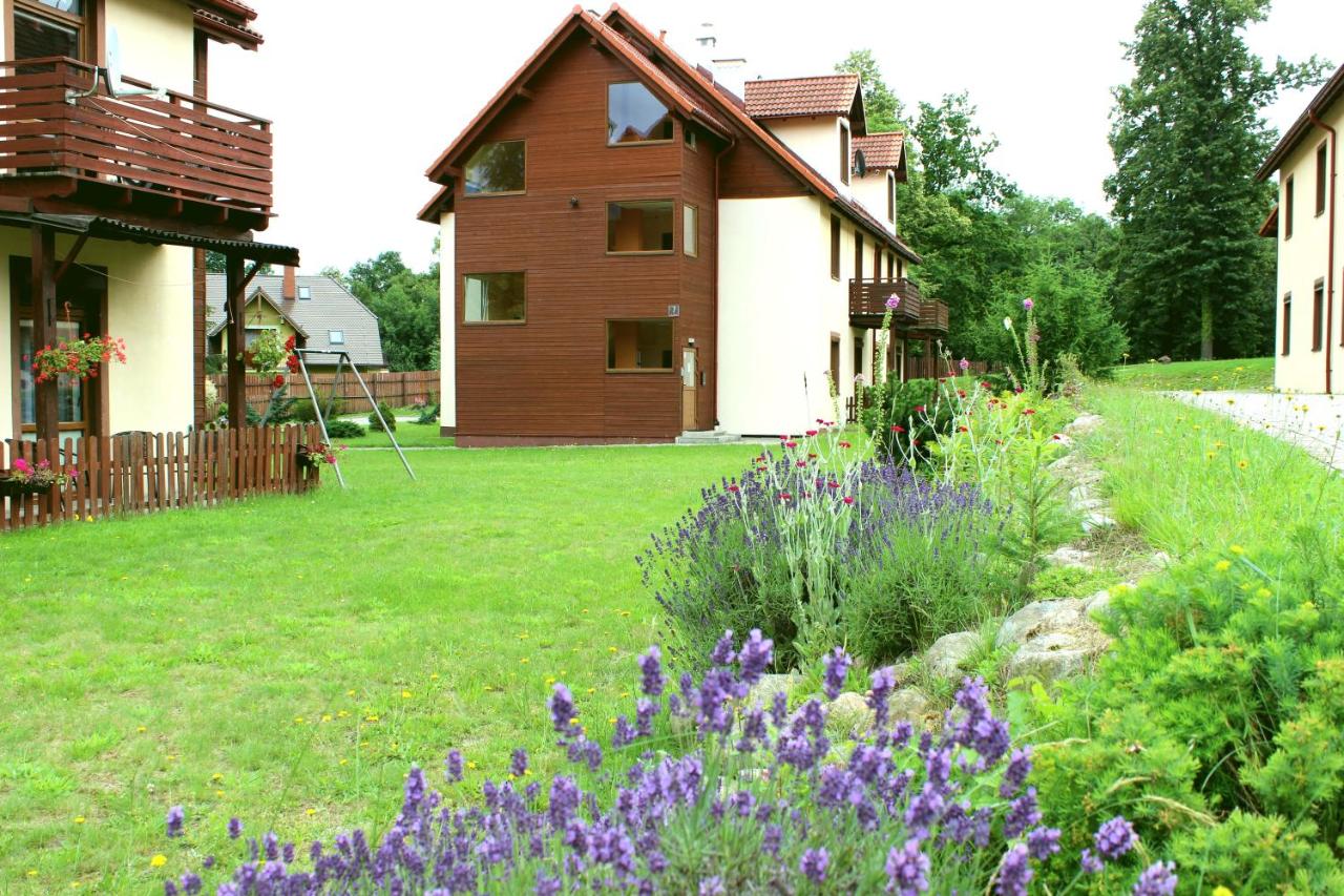 Apartament 007A pod Śnieżką - B&B