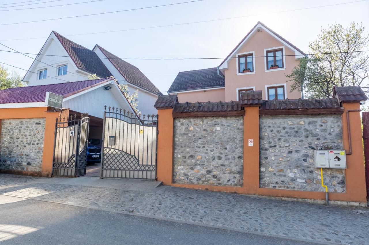 Vila Crisalia Sibiel -Sibiu - B&B Sibiel