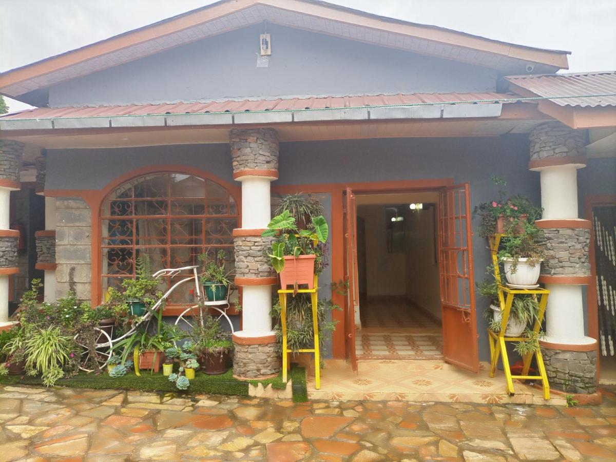 Merricks Guest House - Bed and Breakfast Litein