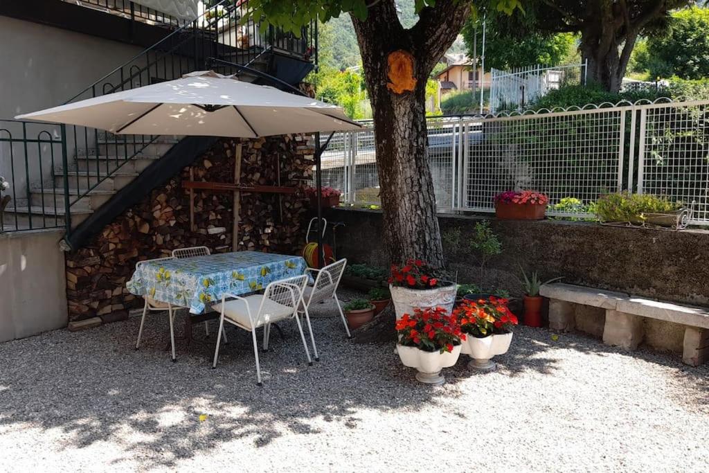 Lake Como Apartment IL NOCE - B&B