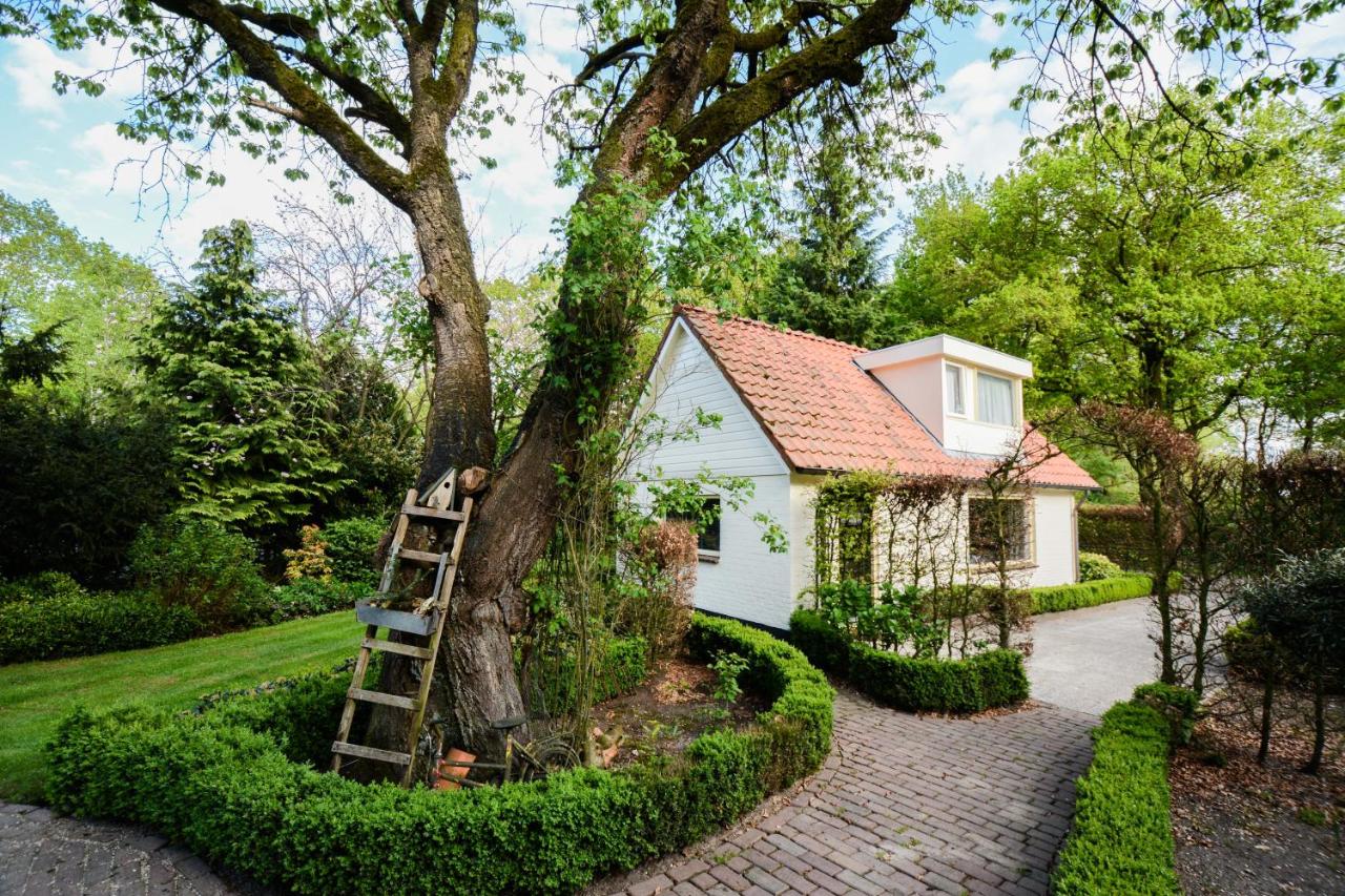 B&B Lange Boom - Bed & Breakfast De Boogschutter - Kersenboom - Bed and Breakfast Lange Boom