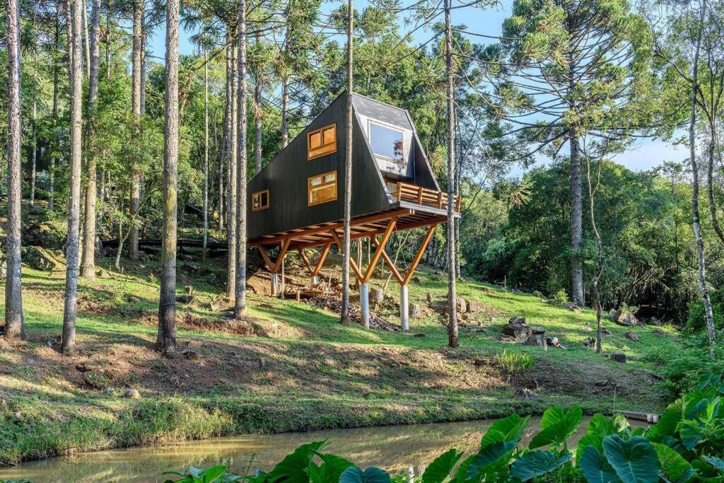 Casa Árbol - Pousada Nacarapina - B&B