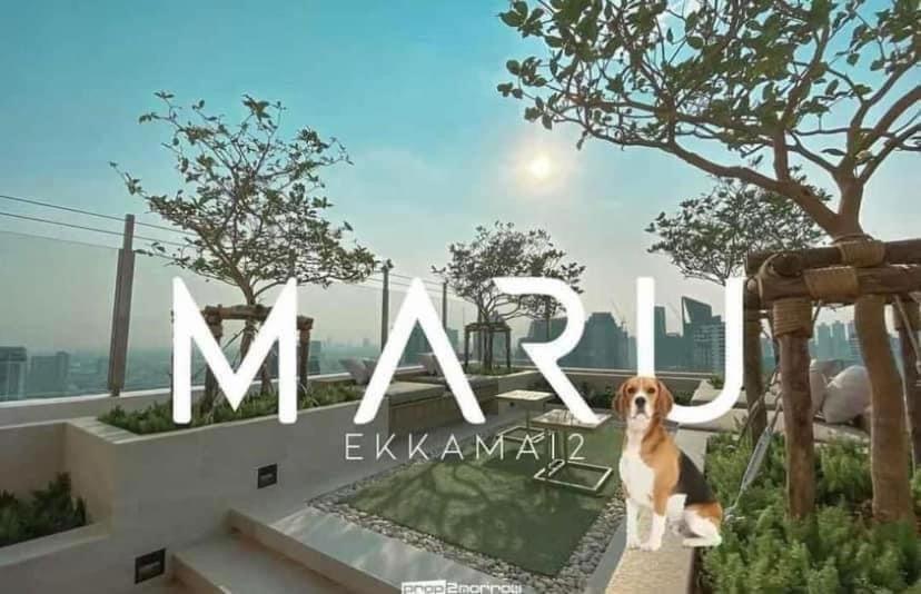 B&B Bangkok - Maru Ekkamai 2 - Ekkamai BTS - Bed and Breakfast Bangkok