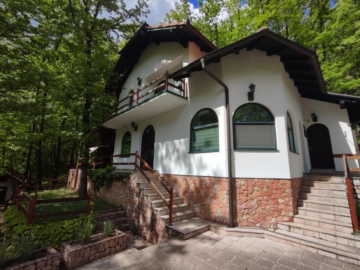 B&B Despotovac - Kuca za odmor Lisine - Bed and Breakfast Despotovac