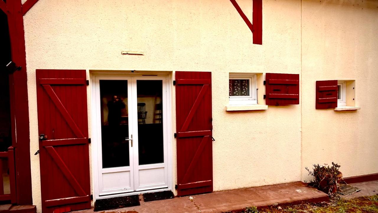 Standard Studio