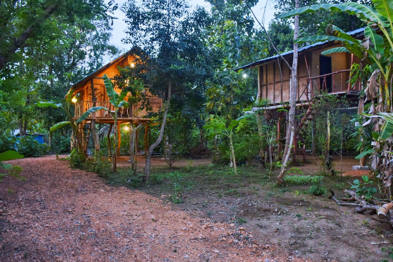Akash Treehouse - B&B