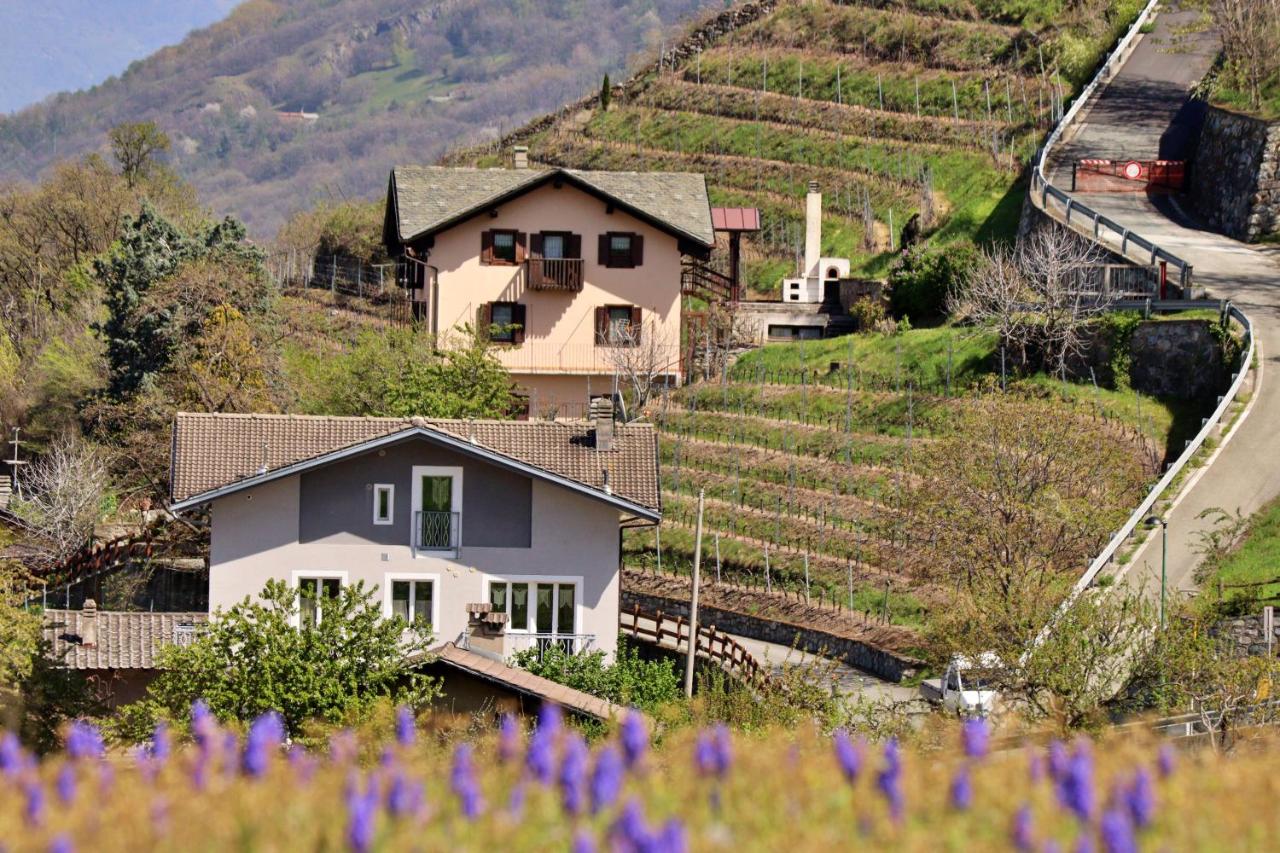 Lo barbaboc - B&B
