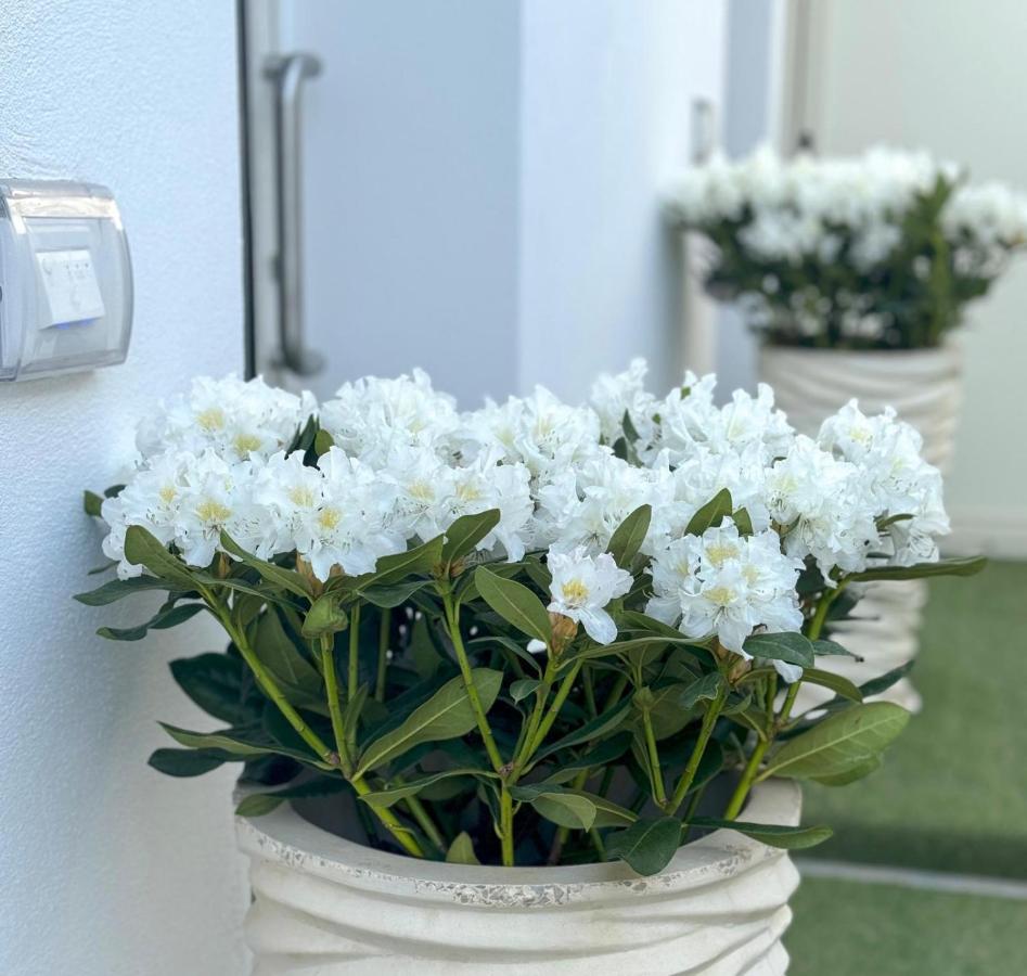 Vicoletto Fiorito - B&B
