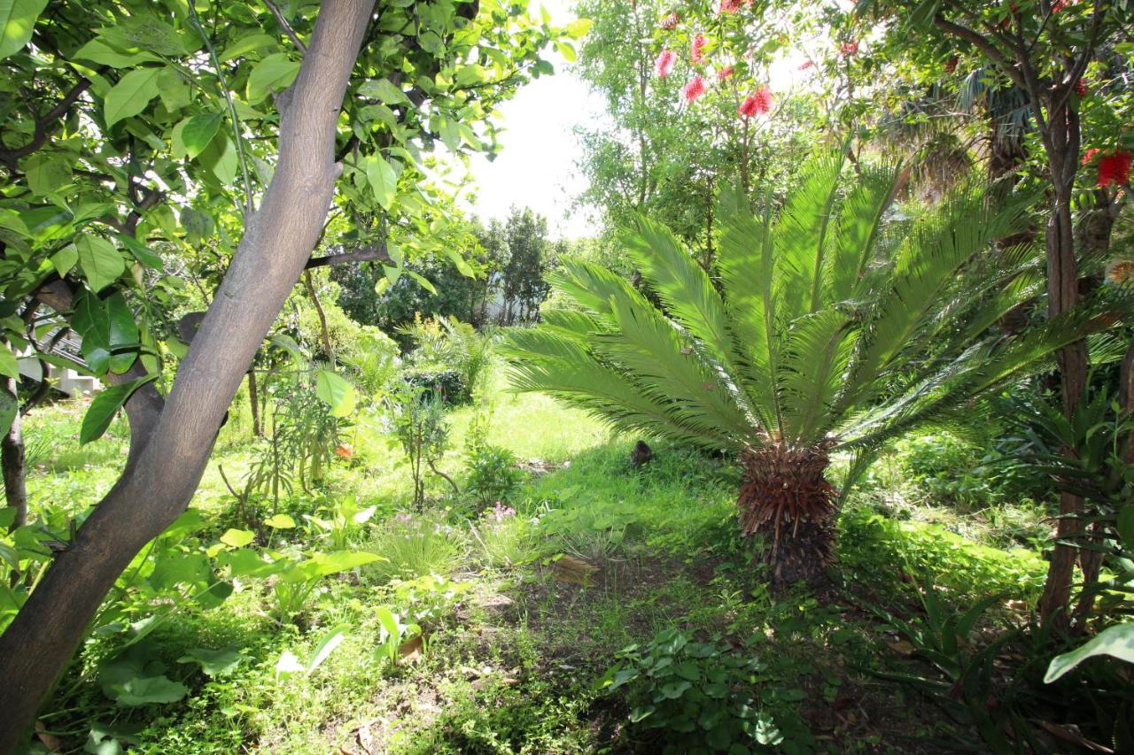 Appartamento Monolocale con Balcone