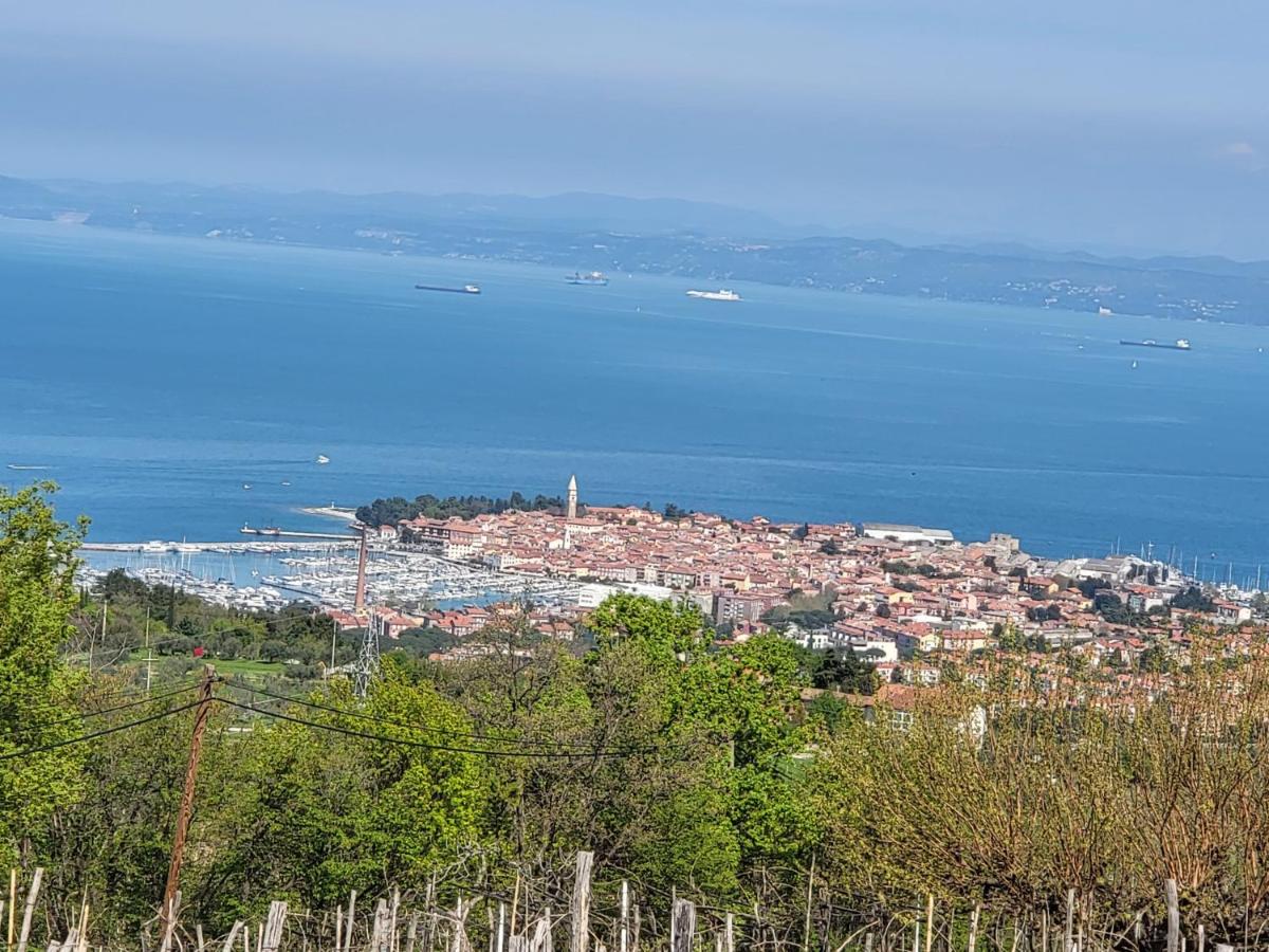 B&B Izola - Adriatic View - Bed and Breakfast Izola