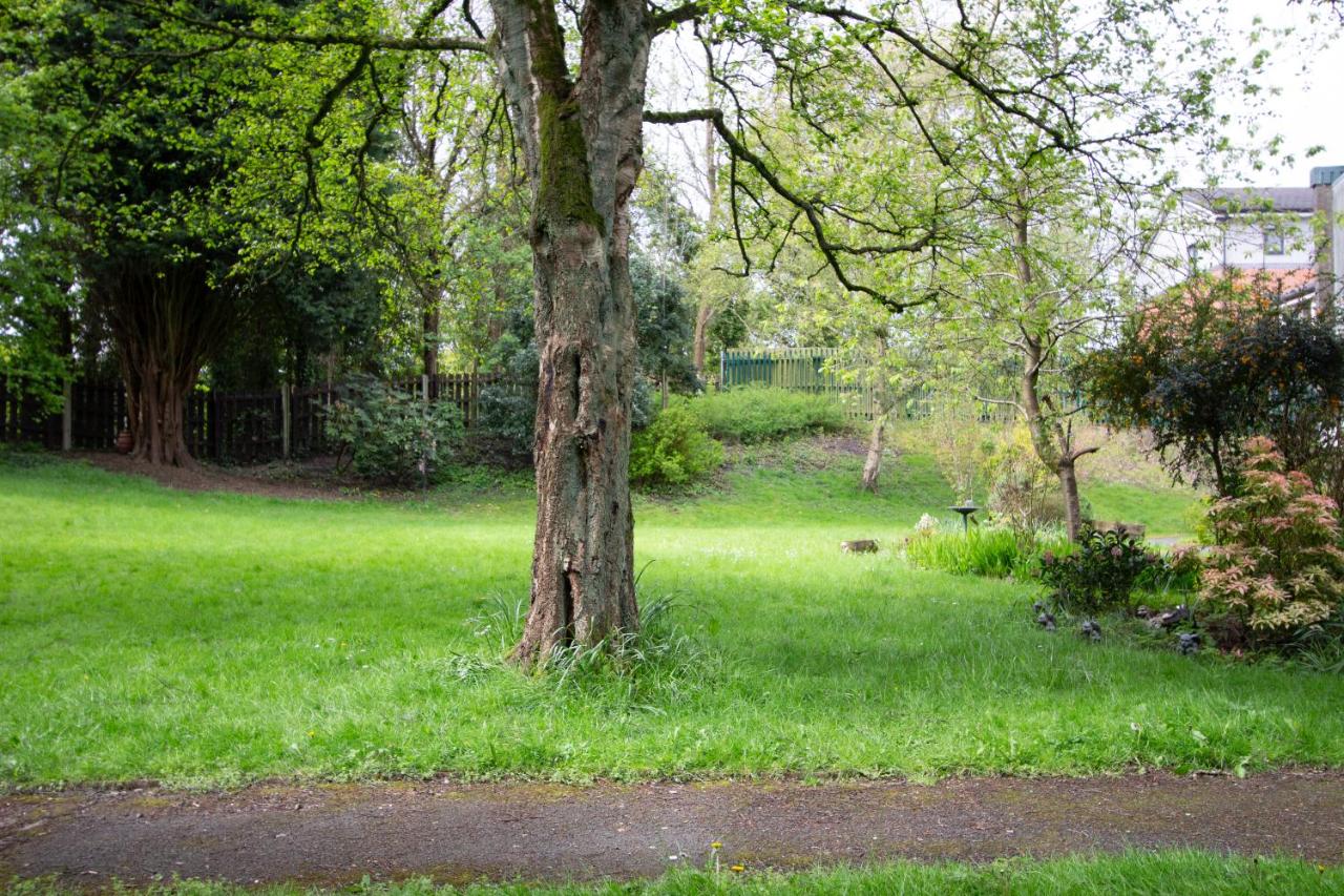 Wigan Gem: Chic 1BR close to CC - B&B Wigan