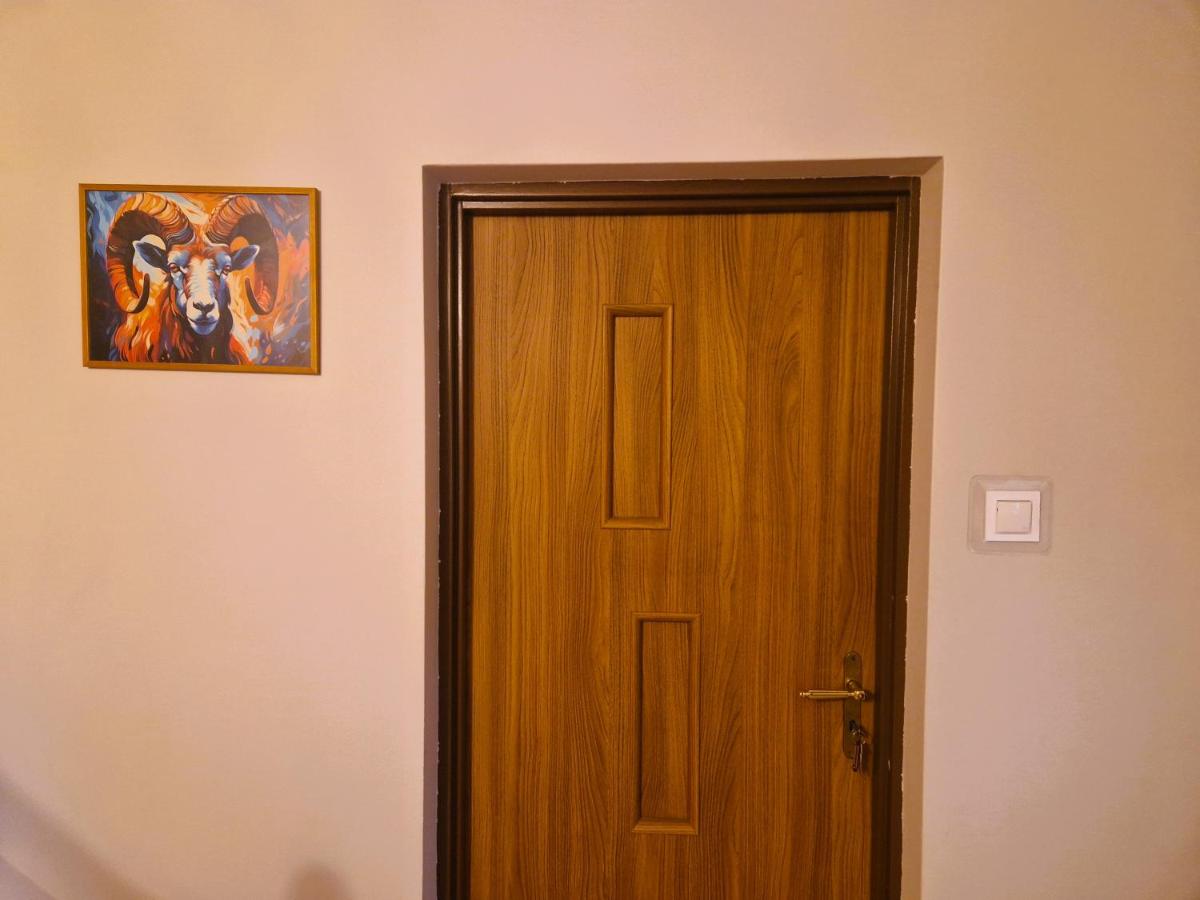 Rozbrykany Muflon - B&B