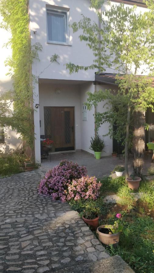 Apartment Lavinia - Bed and Breakfast Zadar