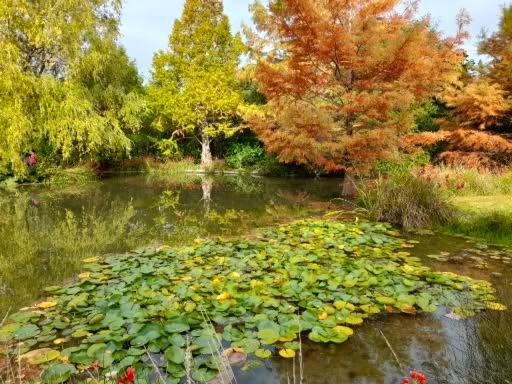 Father House - B&B Kaiapoi