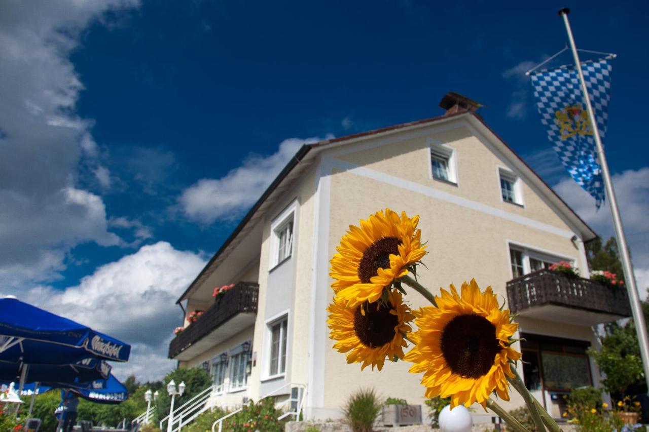 B&B Vohenstrauß - Landgasthof Am Sonnenhang - Bed and Breakfast Vohenstrauß