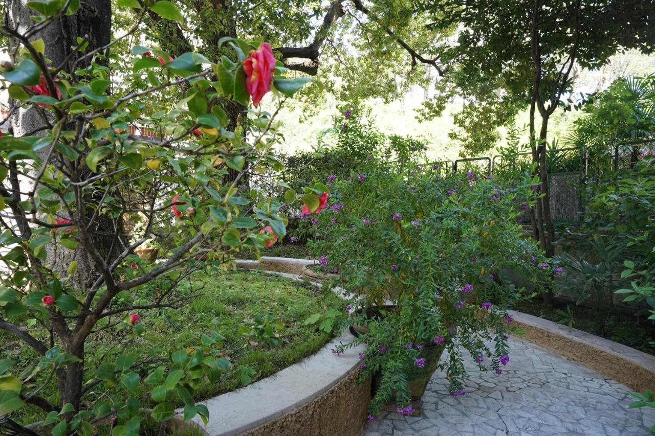 La Casa dell'Albero - B&B La Spezia